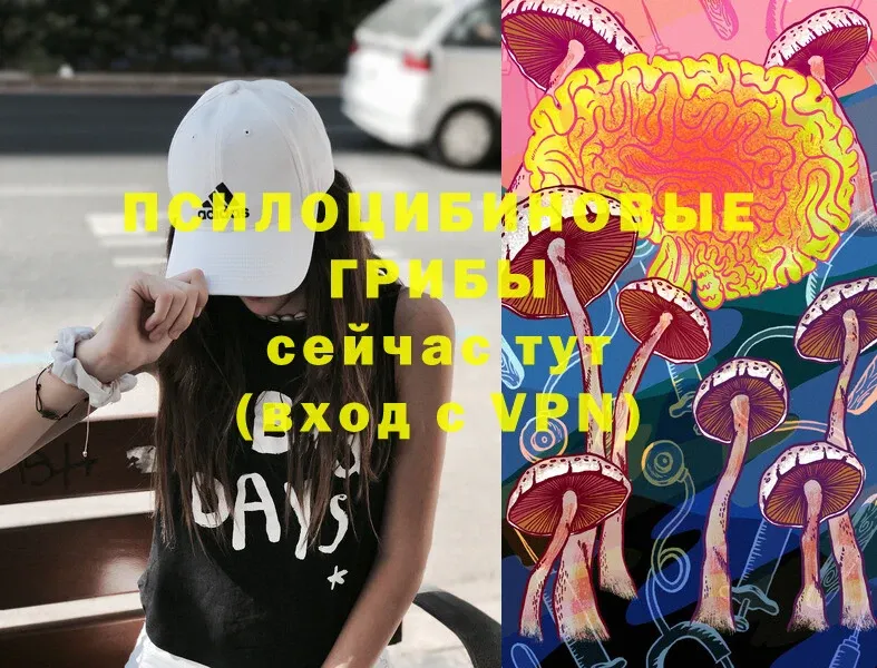 Псилоцибиновые грибы Magic Shrooms  Первомайск 